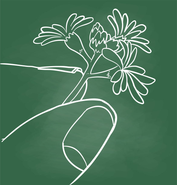 手指拿着小花黑板图片下载