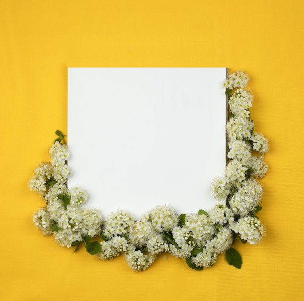 黄色，明亮的背景和一个空笔记本周围的松鼠花。图片下载