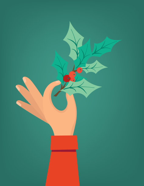 牵手冬青图片下载