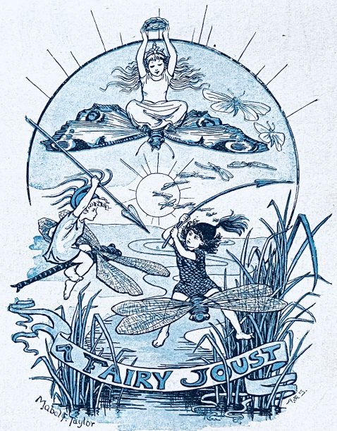 神秘生物们骑着蜻蜓，用长枪互相厮杀图片下载