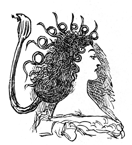 蛇头的年轻女子，侧视图图片下载