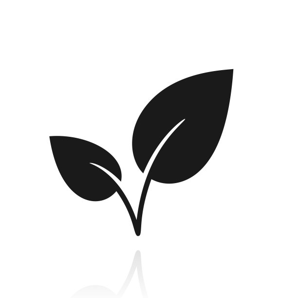 叶子。白色背景上反射的图标图片下载