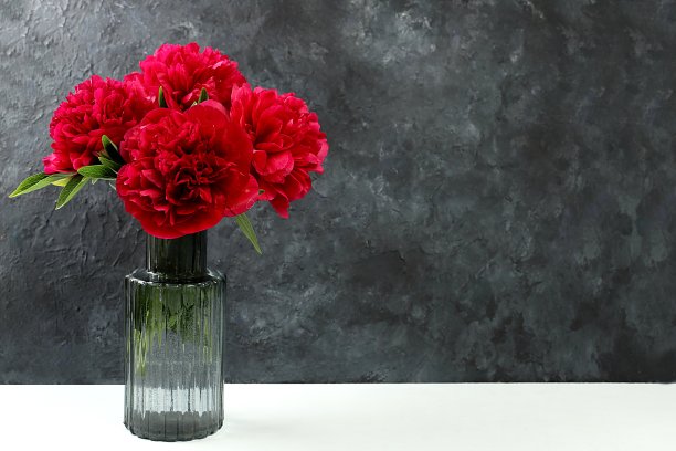 美丽的牡丹花在一个花瓶在黑暗的grunge背景与文字的地方，夏季横幅广告，最小的节日概念与鲜花，贺卡婚礼，生日，母亲节，选择性的焦点图片下载