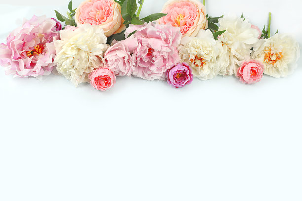 框架美丽的牡丹花和玫瑰在明亮的背景，夏季横幅的地方文字和模板的设计，贺卡的假期，复活节，生日，婚礼，选择性的焦点图片下载