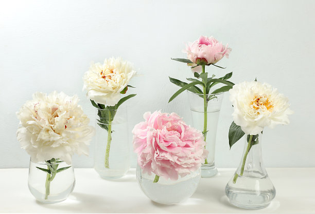 美丽的一套牡丹鲜花和玫瑰在花瓶上灰色的桌子，夏天的横幅，抽象的花卉组成，贺卡为节日，复活节，生日，婚礼，选择性重点图片下载