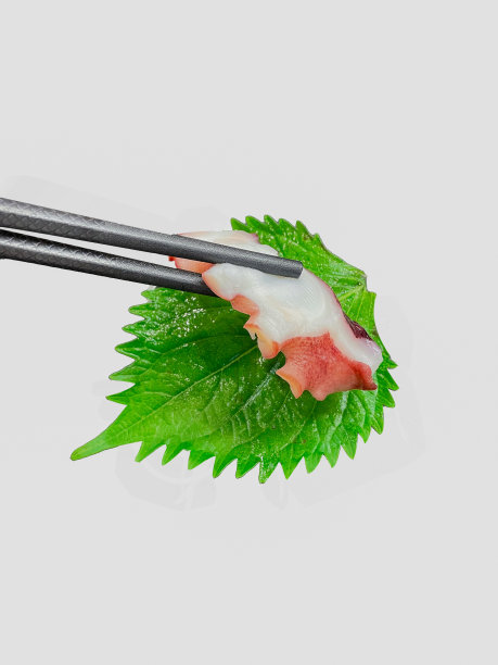 手握章鱼触手用筷子刺身。图片下载