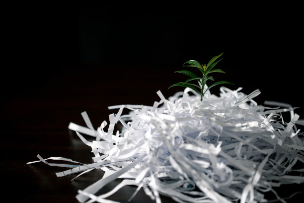 拥抱我们这个时代的生态意识，这张迷人的图片展示了通过回收纸树来拯救世界的概念。加入环保运动，促进可持续发展。图片下载