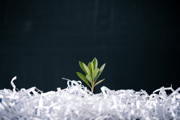 拥抱我们这个时代的生态意识，这张迷人的图片展示了通过回收纸树来拯救世界的概念。加入环保运动，促进可持续发展。图片下载