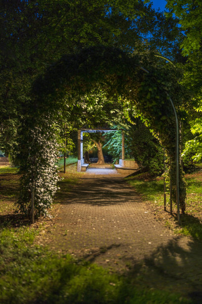 夜景花园图片下载
