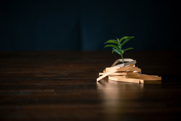 拥抱我们这个时代的生态意识，这张迷人的图片展示了通过回收纸树来拯救世界的概念。加入环保运动，促进可持续发展。图片下载