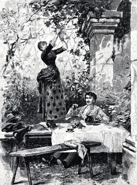 男人在葡萄架上喝酒，女人摘葡萄图片下载