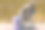 迷你购物车里放着印有欧元标志的钱袋，还有卷起来的500欧元纸币图片下载