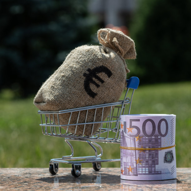 迷你购物车里放着印有欧元标志的钱袋，还有卷起来的500欧元纸币图片下载