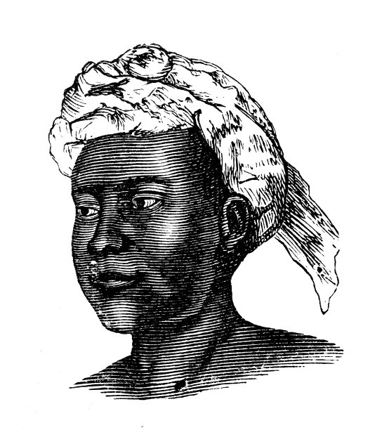 古董插图，民族志和土著文化:泰国人图片下载