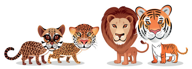 猫科动物图片下载