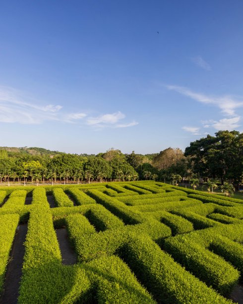 迷宫公园图片下载