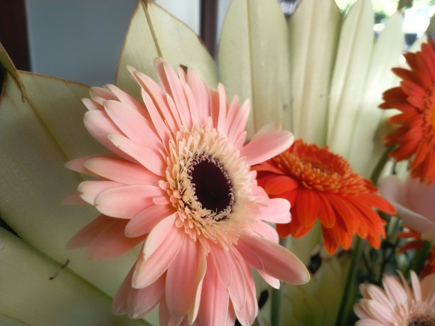 有吸引力的纸或人造花束图片下载