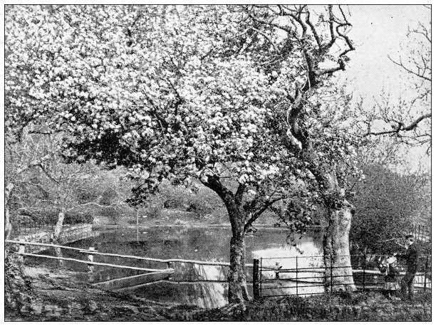 丹麦古色古香的旅行照片图片下载