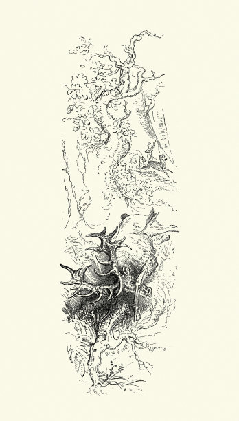 中世纪狩猎，被箭射中的牡鹿，森林图片下载