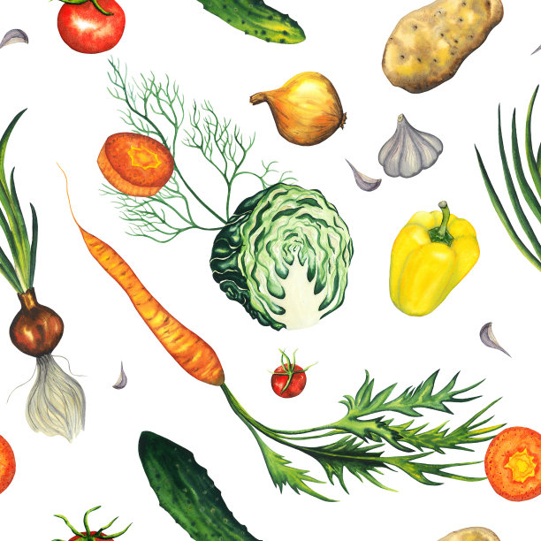 水彩无缝图案手绘蔬菜胡萝卜，大葱，圣女番茄，大蒜，甜椒，卷心菜，土豆，莳萝，黄瓜。孤立在白色背景上。用于印刷，织物，包装纸，横幅的健康植物图片下载
