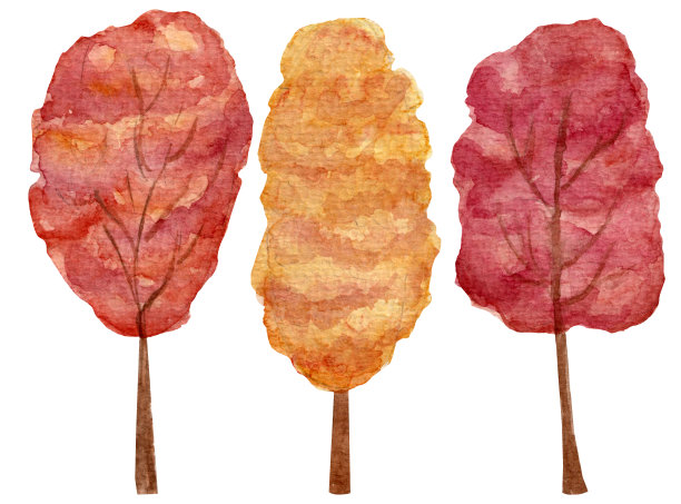 秋天的水彩画收集了各种五颜六色的树，孤立在白色的背景上。图片下载