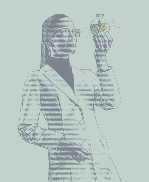 女性实验室技术员检查烧杯CBD油图片下载