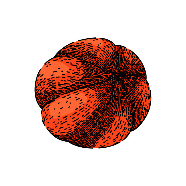 食品瓜拉那水果手绘矢量草图图片下载