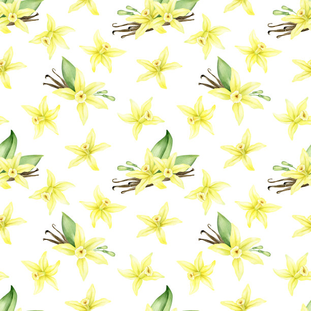 香草花、香草棒、香草荚和香草叶。水彩无缝图案。背景与黄色的花朵。用于包装设计、数码纸、布艺、菜单、广告图片下载