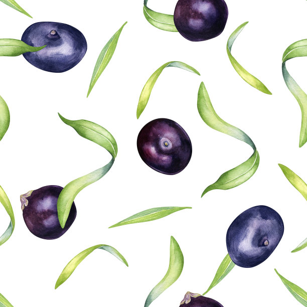 巴西莓和棕榈叶水彩无缝图案隔离在白色。奇异的亚马逊小紫色浆果，热带水果手绘。包装、包装、纺织品、背景、纸张设计图片下载