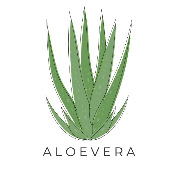 天然芦荟艺术系列图片下载
