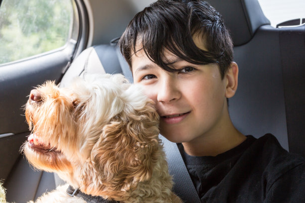 汽车骑图片下载