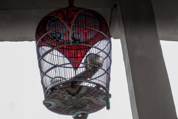鸟笼，鸟笼:挂在屋梁上方的鸟笼图片下载