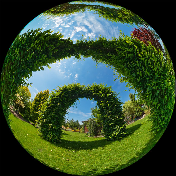 夏日阳光灿烂的日子里，绿色的花园拱门。这张照片是通过圆形广角鱼眼镜头拍摄的图片下载