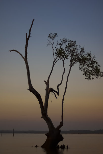 Kenyamukan海滩全景图片下载