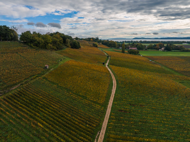 秋天的颜色图片下载