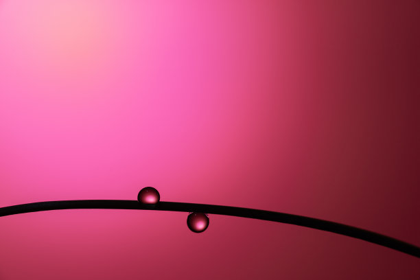 叶子上的水滴图片下载