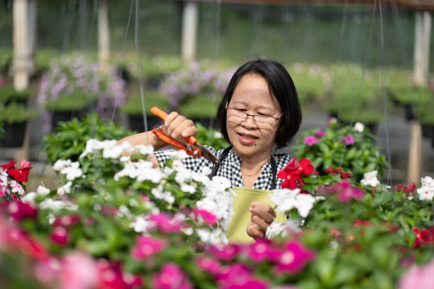 花卉栽培行业图片下载