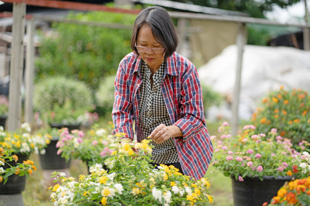 花卉栽培行业图片下载