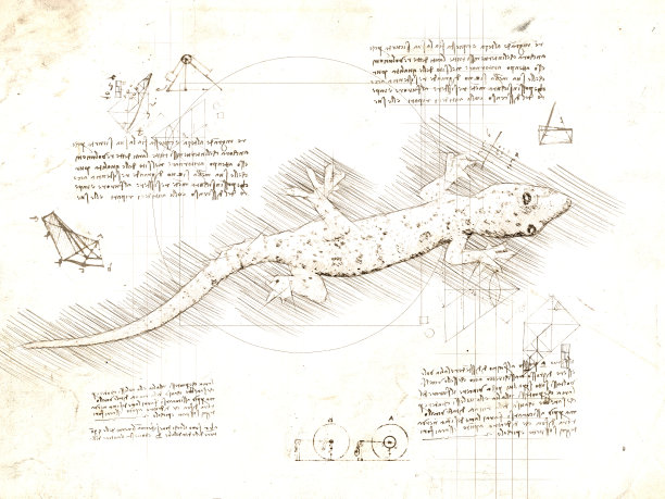 老达芬奇风格的泰国蜥蜴素描图片下载