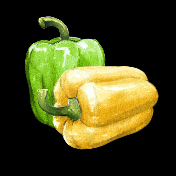 黄色灯笼椒水彩插图黑色背景图片下载