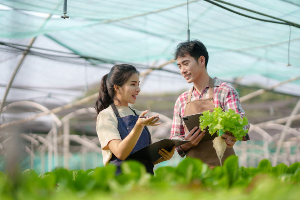 水培法。微笑的年轻亚洲夫妇农民收获有机蔬菜沙拉从农场花园。图片下载