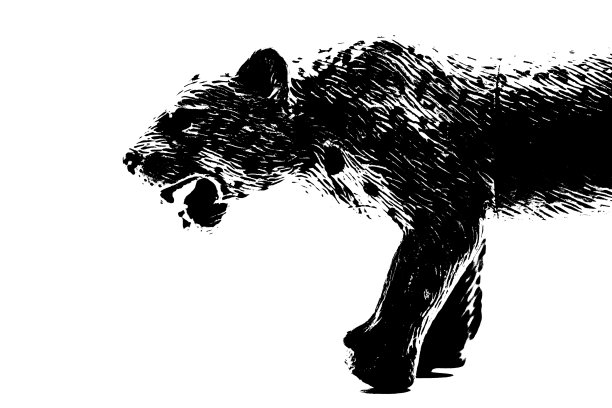 母狮模特的剪影站在白色的背景上图片下载