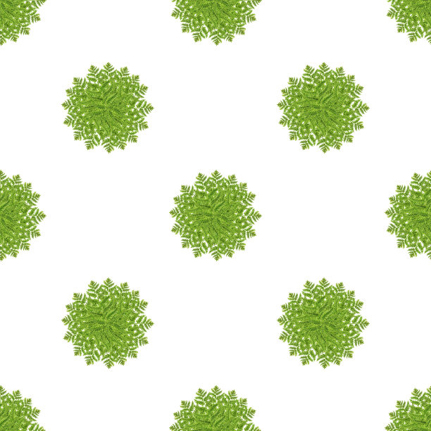手绘水彩无缝图案的绿色蕨类树枝与树叶的婚礼，生日，贺卡，菜单，横幅，边界，贴纸。元素被隔离在白色背景上。图片下载