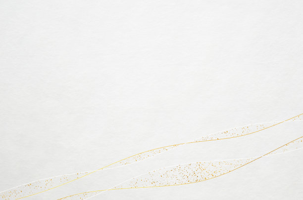 白色的日本“和石”纸纹理与优雅的金色图案图片下载