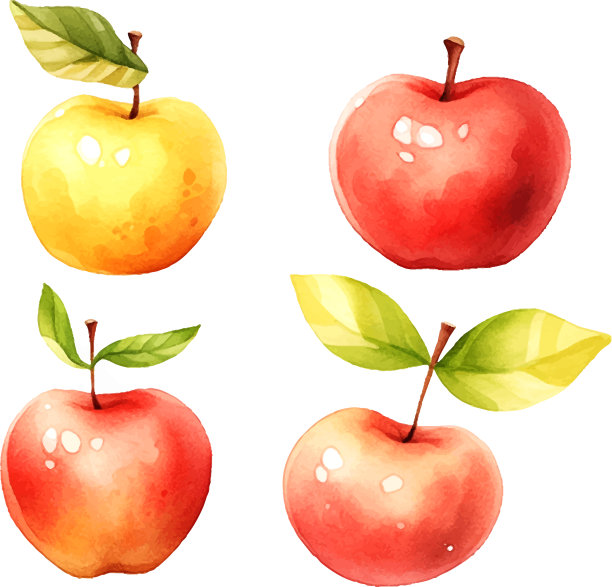 红苹果水彩在白色的手绘风格图片下载