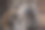 老式的正宗木轮从一个乡村谷仓的手推车。图片下载