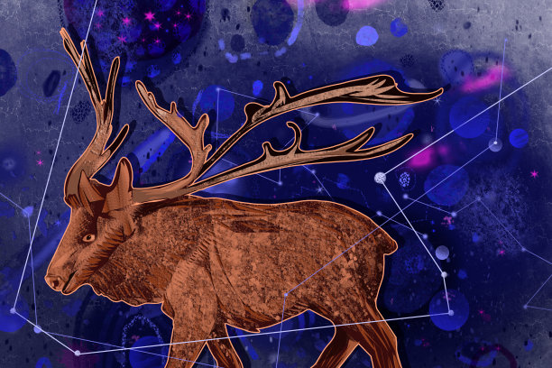 在宇宙中投射驯鹿图片下载