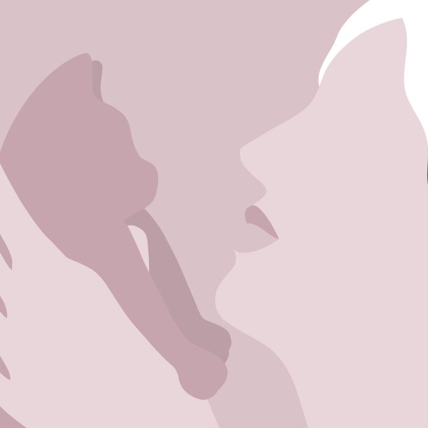 采用猫的概念图片下载