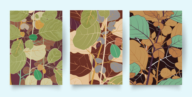 热带模式集。收集热带背景在简单的最小平面风格与丛林植物香蕉叶，图片下载