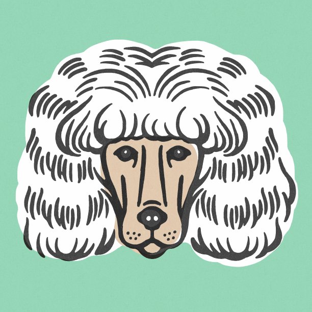 蓬松毛的狗图片下载